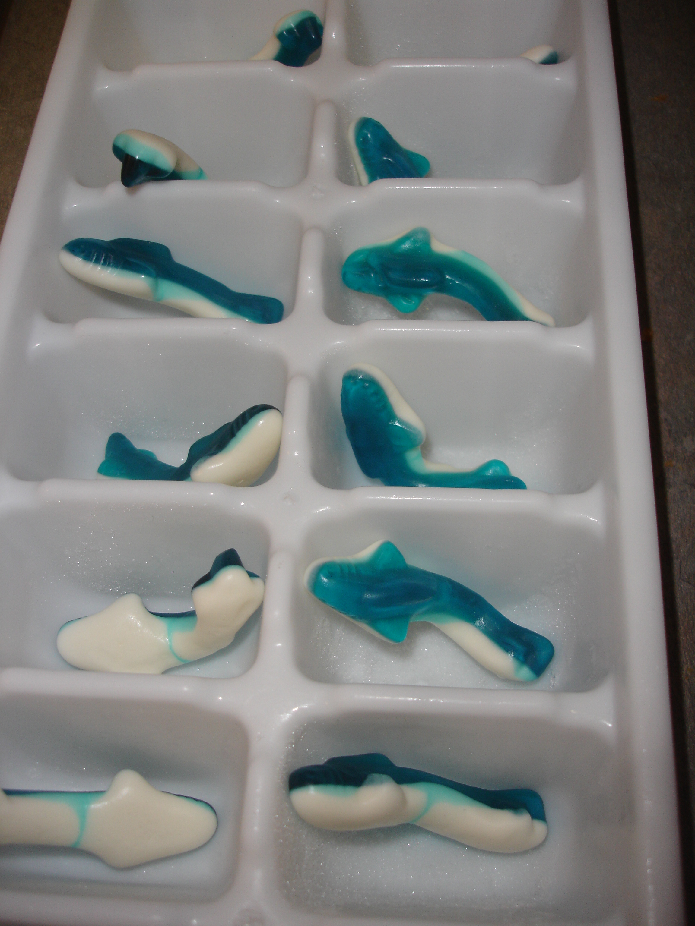 Cranberry Shark Ice Cubes